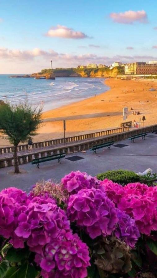 Residence La Croisiere- Appt Duplex 6 Personnes Anglet Ngoại thất bức ảnh